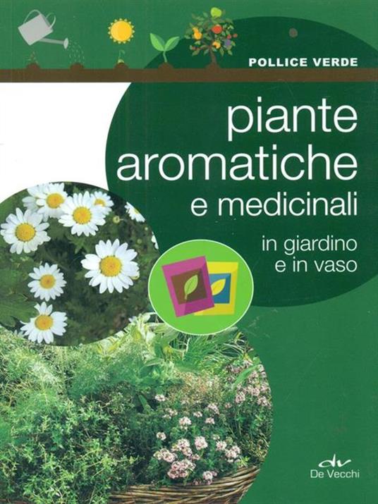 Piante aromatiche e medicinali in giardino e in vaso - 5