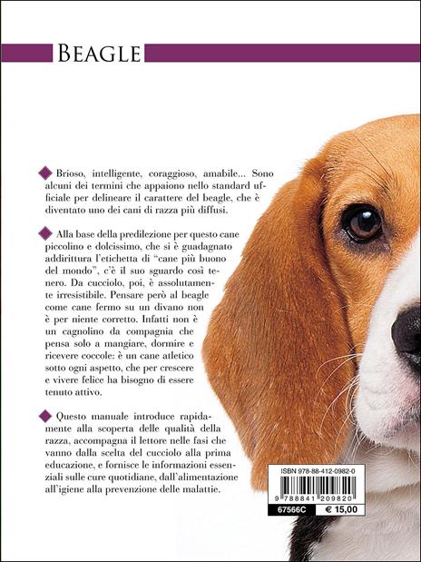 Beagle - Elena Rapello Faion - 3