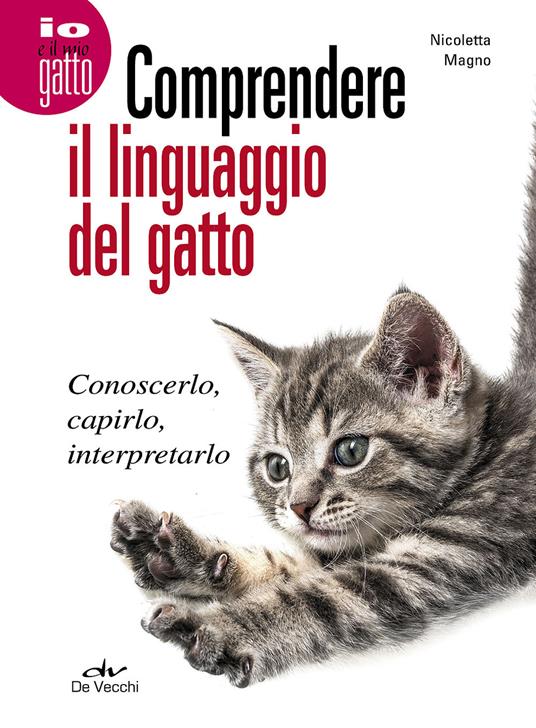 Linguaggio della coda del gatto: come interpretarlo - G come Gatto