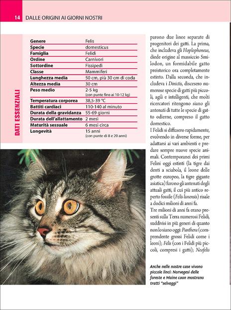 Comprendere il linguaggio del gatto. Conoscerlo, capirlo, interpretarlo - Nicoletta Magno - 2