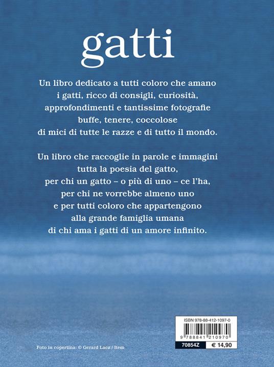 Gatti - 2