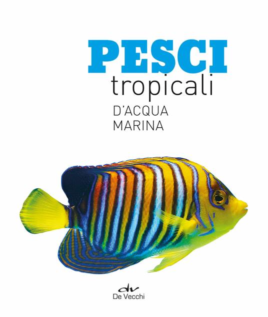 Pesci adatti all'acquario