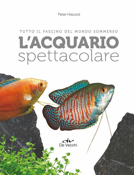 L' acquario spettacolare. Tutto il fascino del mondo sommerxo - Peter Hiscock - 4