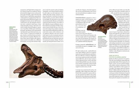 Dinosauri. Misteri svelati e nuove incognite - Maria Luisa Bozzi,Silvio Bruno,Stefano Maugeri - 6