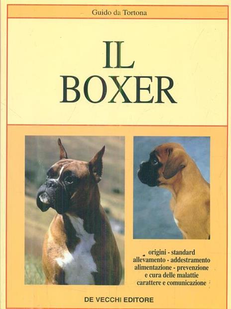 Il boxer - Guido Da Tortona - 2