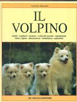 Il volpino