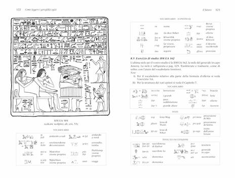 Come leggere i geroglifici egizi. Manuale teorico e pratico - Mark Collier,Bill Manley - 7
