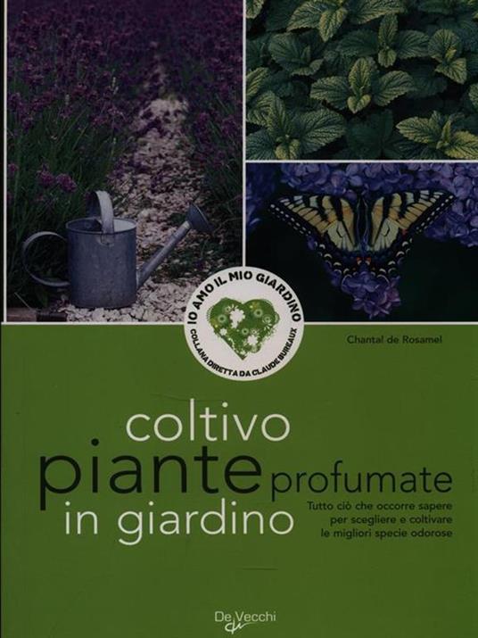 Coltivo piante profumate in giardino - Chantal de Rosamel - copertina