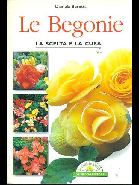 Le begonie - Daniela Beretta - 3