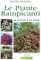 Le piante rampicanti