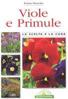 Viole e primule