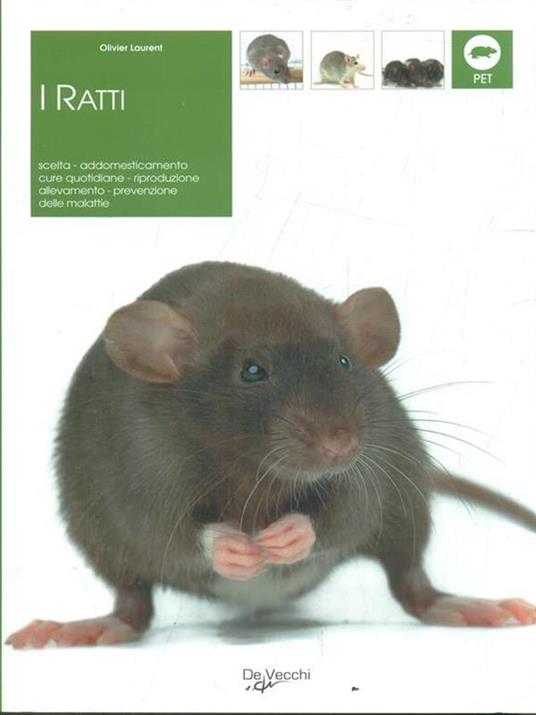 Ratti - Olivier Laurent - Libro - De Vecchi - Pets e animali da compagnia |  IBS