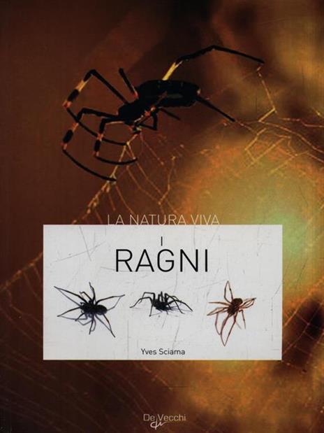 I ragni - Yves Sciama - 2