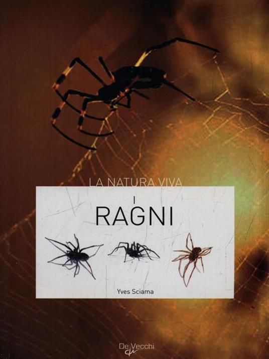 I ragni - Yves Sciama - 5