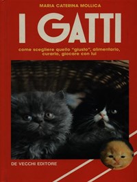 Che gatti. Con gadget - Alessandra Cicalini - Libro - Cicalini Alessandra 