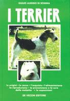 I terrier