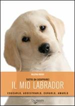 Il mio labrador