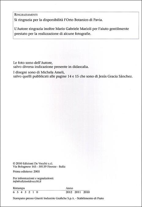 Piante grasse senza problemi - Alberto Massa Saluzzo - 7