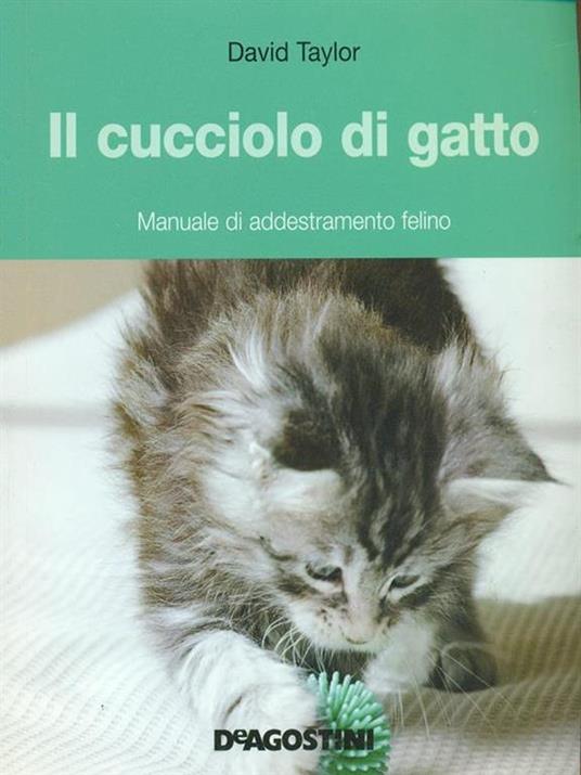 Il cucciolo di gatto. Manuale di addestramento felino. Ediz. illustrata - David Taylor - 3