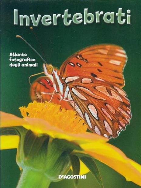 Invertebrati. Atlante fotografico degli animali - copertina