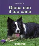 Gioca con il tuo cane