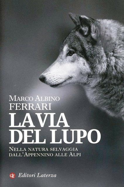 Il diario del vampiro, 4 libri del Primo Ciclo - Libri e Riviste In vendita  a Monza e della Brianza