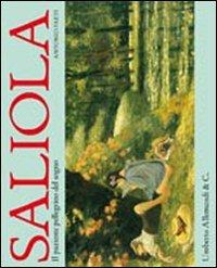 Saliola. Il paziente pellegrino del sogno. Ediz. illustrata - Antonio Faeti - copertina