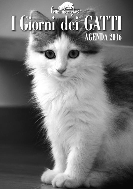 I giorni dei gatti. Calendario 2024 - Libro - Ugo Mursia Editore -  Felinamente & C.