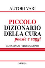 Piccolo dizionario della cura