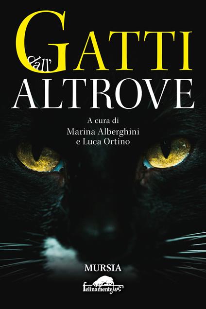 Gatti dall'altrove - copertina