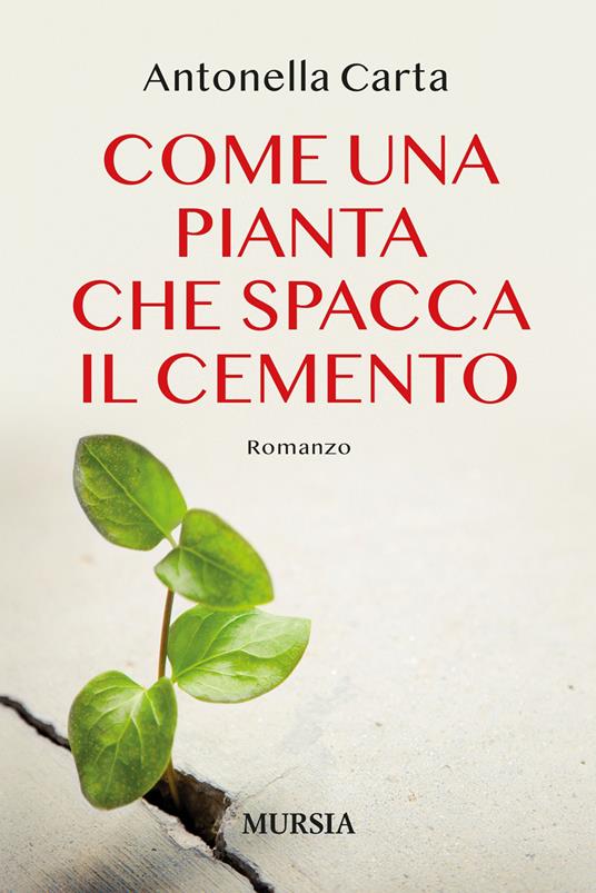 Come una pianta che spacca il cemento - Antonella Carta - copertina