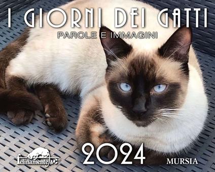 I giorni dei gatti. Calendario 2024 - copertina