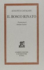 Il bosco rinato