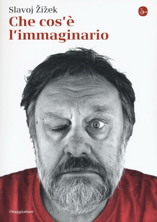 Che cos'è l'immaginario - Slavoj Zizek - copertina