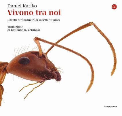 Vivono tra noi. Ritratti straordinari di insetti ordinari. Ediz. illustrata - Daniel Kariko - copertina