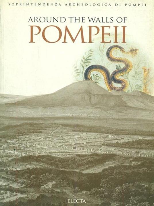 Lungo le mura di Pompei. L'antica città nel suo ambiente naturale. Ediz. inglese - Annamaria Ciarallo,Ernesto De Carolis - copertina