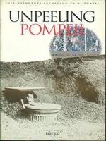 Sotto i lapilli. Studi nella Regio I di Pompei. Ediz. inglese