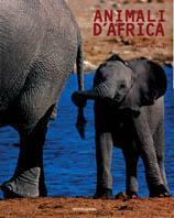 Animali d'Africa - Mauro Burzio - copertina