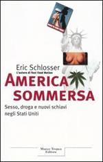 America sommersa. Sesso, droga e nuovi schiavi negli Stati Uniti