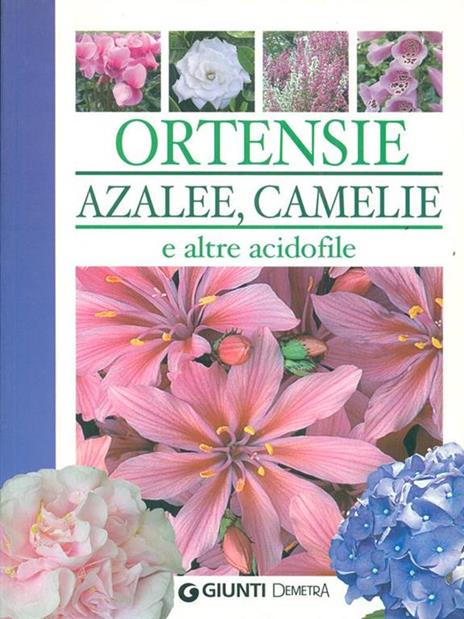 Ortensie, azalee, camelie e altre acidofile. Ediz. illustrata - Piero Lombardi - 5