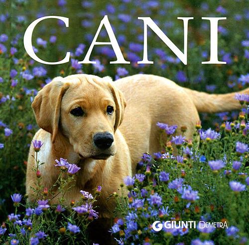 I cani. Ediz. illustrata - copertina