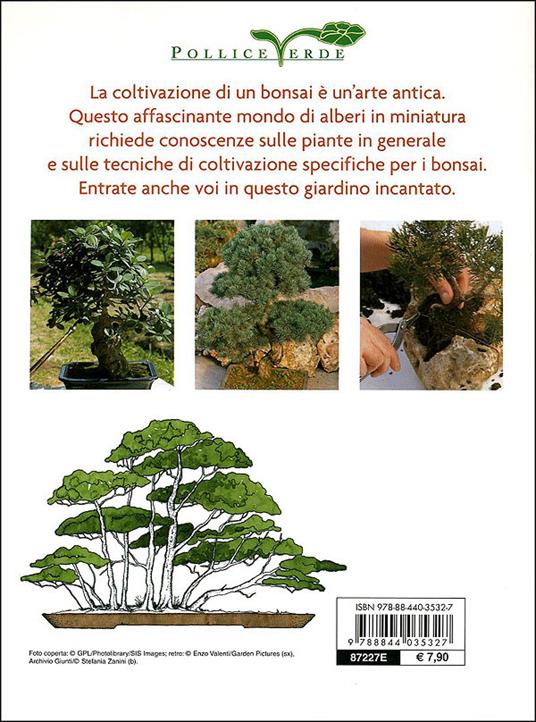 Bonsai. Stili, legature e potature - 4