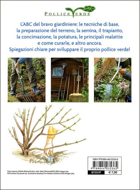 Scuola di giardinaggio. Tecniche, segreti e calendario dei lavori. Ediz. illustrata - Eliana Ferioli - 5