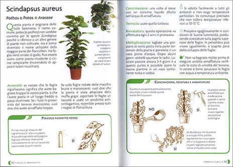 Pollice verde. Il manuale completo del giardinaggio - 4