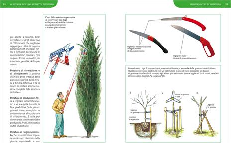 Potature e innesti per le piante da frutto - Adriano Del Fabro - 4