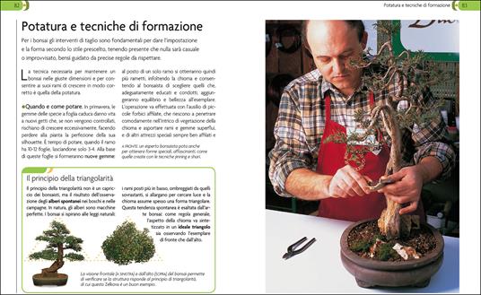 Bonsai. Stili, legature e potature - 5