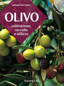 Image of L' olivo. Coltivazione, raccolta e utilizzo