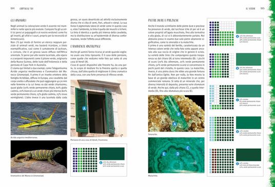 Capire e usare i colori. Con gadget - Marco Bussagli - 6