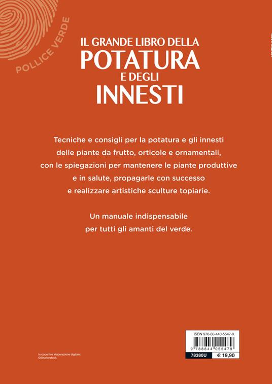 Il grande libro della potatura e degli innesti - Enrica Boffelli - Anna  Furlani Pedoja - - Libro - Demetra - Pollice verde