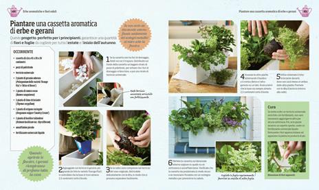 L' orto dentro casa. Idee creative per coltivare frutta, verdura, fiori eduli ed erbe aromatiche in casa o sul balcone - Zia Allaway - 5